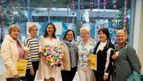 Kilkenny weavers contributed 14,000 stars to exhibition