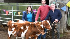 Kilkenny hosts Social Farming Open Day