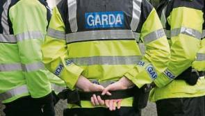 MOST READ (2024): Garda warning as 'young bucks' on the move in Kilkenny