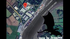 Letter to the Editor: Belview Port is not Kilkenny, Waterford man contends