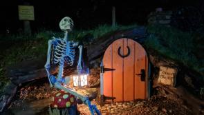 Take a walk into a world of witchcraft, wizardry and spooky fun at Kilkenny's Jurassic Newpark this Hallowe''en