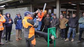 Kilkenny growers welcome at the  Ireland Woodland Show