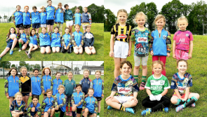 PICTURES: All smiles at an action packed experience during Ballyhale Cúl Camps