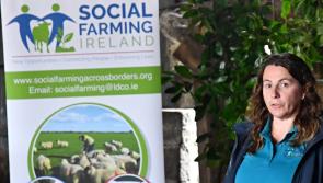 Kilkenny farm to hold free wellbeing event for farm families