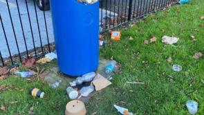 'Bring it home' plea after Kilkenny park littered with rubbish