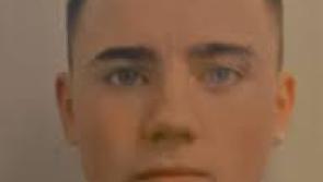 Gardaí issue urgent appeal for missing teenage boy from Meath