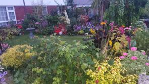Kilkenny's best estates and gardens revealed at Keep Kilkenny Beautiful awards