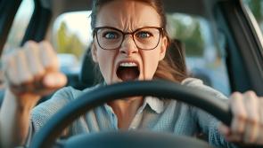 Kilkenny garda&iacute; seek to tackle road rage issue following a number of local incidents