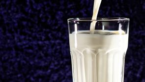 Kilkenny farming: “No conceivable scenario” for cuts to June milk price 