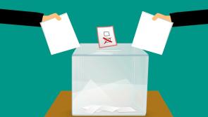 Kilkenny County Council clarify confusion as voters go to wrong polling station