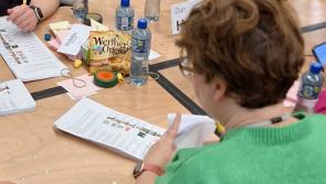 Kilkenny voter - 'I'd rather vote for Hitler than vote for a Tipperary man' 