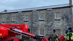 Kilkenny Defence Forces attempt to save endangered species 