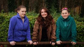 Students in Kilkenny encouraged to apply for €20,000 Coillte Forestry Scholarship