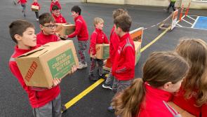Well done! Kilkenny students help pack St Vincent de Paul hampers 