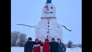 WOW! Is this 23 foot snowman the biggest in Ireland?