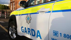 Garda appeal after homeowner left shaken in Kilkenny