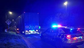 Kilkenny gardaí arrest truck driver for serious offence 