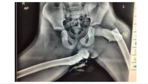 Kilkenny Gardaí share bone-chilling warning of risk sitting this way in a car