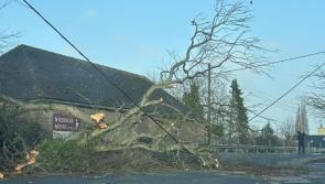 LATEST: Major incident as tree blocks main road in Kilkenny after Storm Éowyn