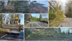 PICTURES: Storm Éowyn leaves trail of destruction in Kilkenny