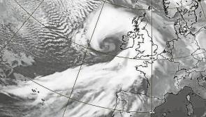 Update: 715,000 homes, farms and businesses without power - Kilkenny Live