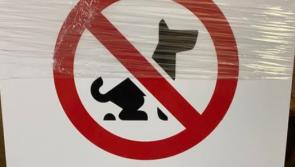 "It's just scandalous" - Kilkenny town battling dog poo dilemma