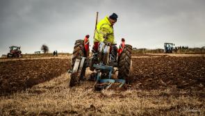 PICTURES: Great day of ploughing in Kilkenny