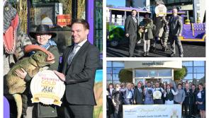 PICTURES: Newpark Hotel Kilkenny crowned Best Family Friendly Hotel for second year running
