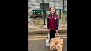 Young girl proves 'not all superheroes wear capes' by raising funds for Kilkenny Dog Shelter