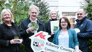 Hedgehogs and hedgerows: Probation Service widens net to help Kilkenny’s biodiversity