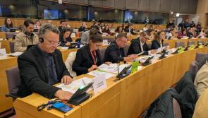 A victory for carers in the European Parliament – Kilkenny's Kathleen Funchion MEP