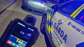 You won't believe the reason garda&iacute; stopped this unaccompanied learner driver...