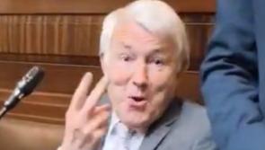 North-West Kilkenny TD: "I made an errant gesture under provocation"