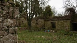 Couple 'taken aback' after undertaking huge home renovation challenge near Kilkenny
