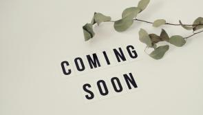 One-of-a-kind Kilkenny festival to make its return later this year!