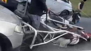 WATCH: 'Utter carnage': Sulky race in Limerick ends in violent collision with horses injured