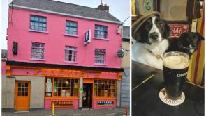 Shneaky Sip: Skip Sean’s Bar - you’d be barking mad to miss the chaotic craic at Flannery’s