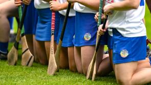 TD backs Kilkenny and Dublin players' skort protest - it's an 'own goal' by the Association