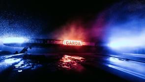 Experienced gardaí 'stunned' by shocking behaviour of motorist in Kilkenny
