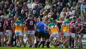 Two changes on Offaly senior hurling team for big test against Kilkenny