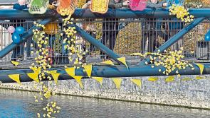 Kilkenny Lions Club ready to go quackers for annual charity duck race