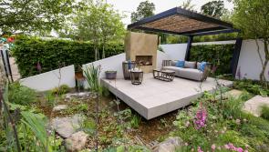 Kilkenny group to create show garden at Bloom!