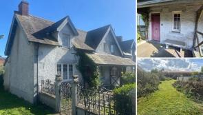PICTURES: Fairytale-esque Kilkenny cottage for sale with super low asking price!