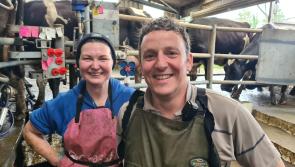 Kilkenny farm family to share secrets of combining high production with environmental  sustainability 