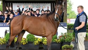 Punters delight as €200,000 Irish EBF Gowran Classic set to go to post on Bank Holiday Monday in Kilkenny