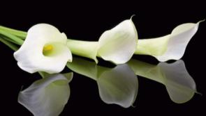 RIP: Kilkenny mourns the passing of 'irreplaceable character' 