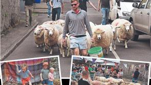 Unique Kilkenny Sheep Shearing festival will bring you back in time