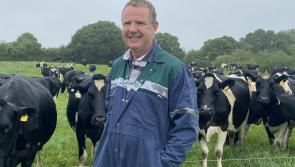 Kilkenny farm families invited to &lsquo;Farming for the Future&rsquo; on-farm event