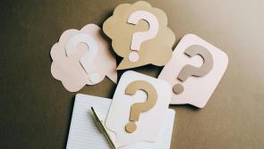 Kilkenny councillors demand answer to 'the big question everyone is asking'