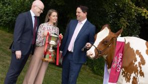 Kilkenny dairy breeders invited to represent county in   Champion Cow Contest